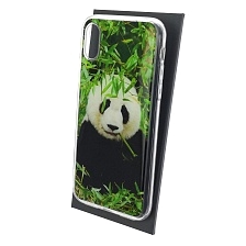Чехол накладка для APPLE iPhone X, iPhone XS, силикон, глянцевый, рисунок Панда бамбук Чехол накладка для APPLE iPhone X, iPhone XS, силикон, глянцевый, рисунок Панда бамбук