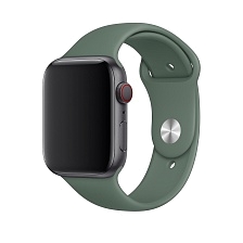 Ремешок для Apple Watch спортивный "Sport", размер 38-40 mm, цвет сосновый лес. Ремешок для Apple Watch спортивный "Sport", размер 38-40 mm, цвет сосновый лес.